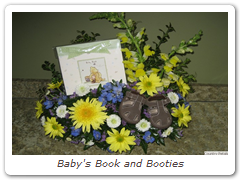 Baby's Book and Booties