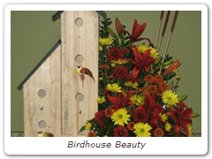 Birdhouse Beauty