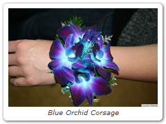 Blue Orchid Corsage