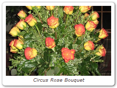 Circus Rose Bouquet