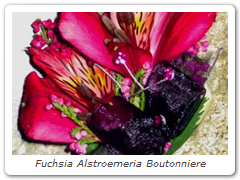 Fuchsia Alstroemeria Boutonniere