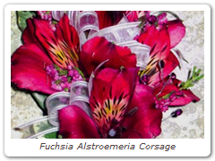 Fuchsia Alstroemeria Corsage