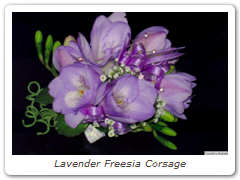Lavender Freesia Corsage