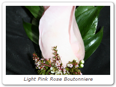 Light Pink Rose Boutonniere