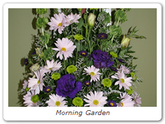 Morning Garden