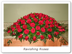 Ravishing Roses