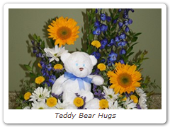 Teddy Bear Hugs