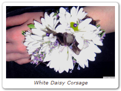 White Daisy Corsage