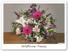 Wildflower Frenzy